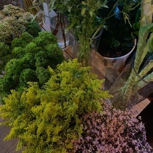 Meet your Posher, Diane